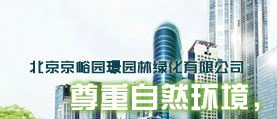 海南京峪园璟园林绿化有限公司 网站设计 网站建设