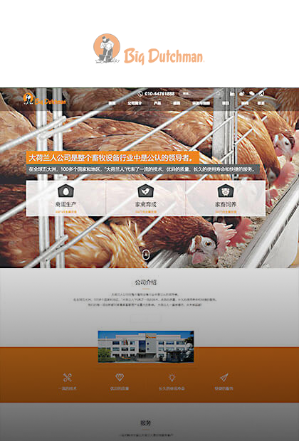 大荷兰人中国官网